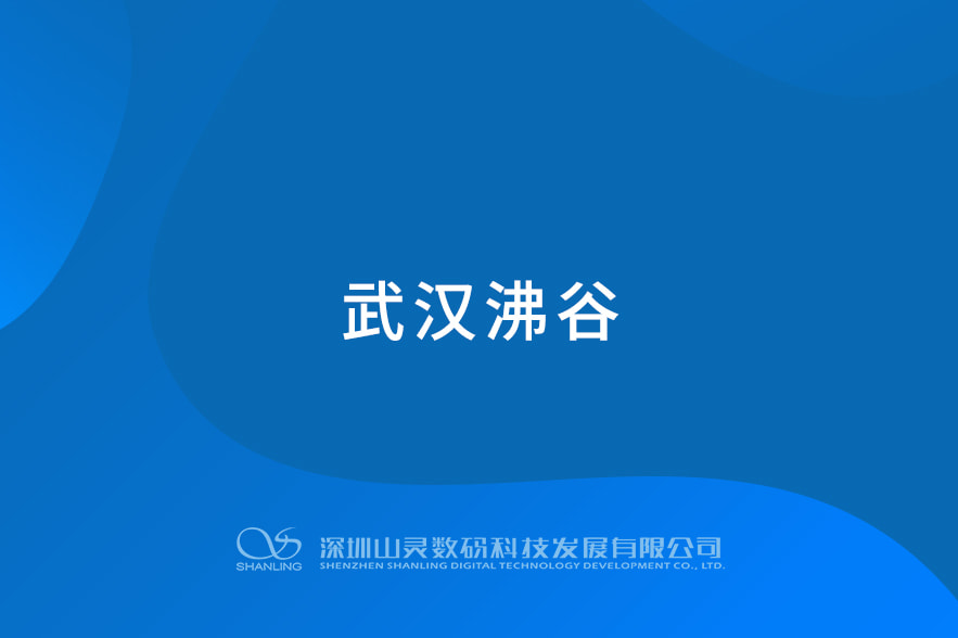 武汉沸谷